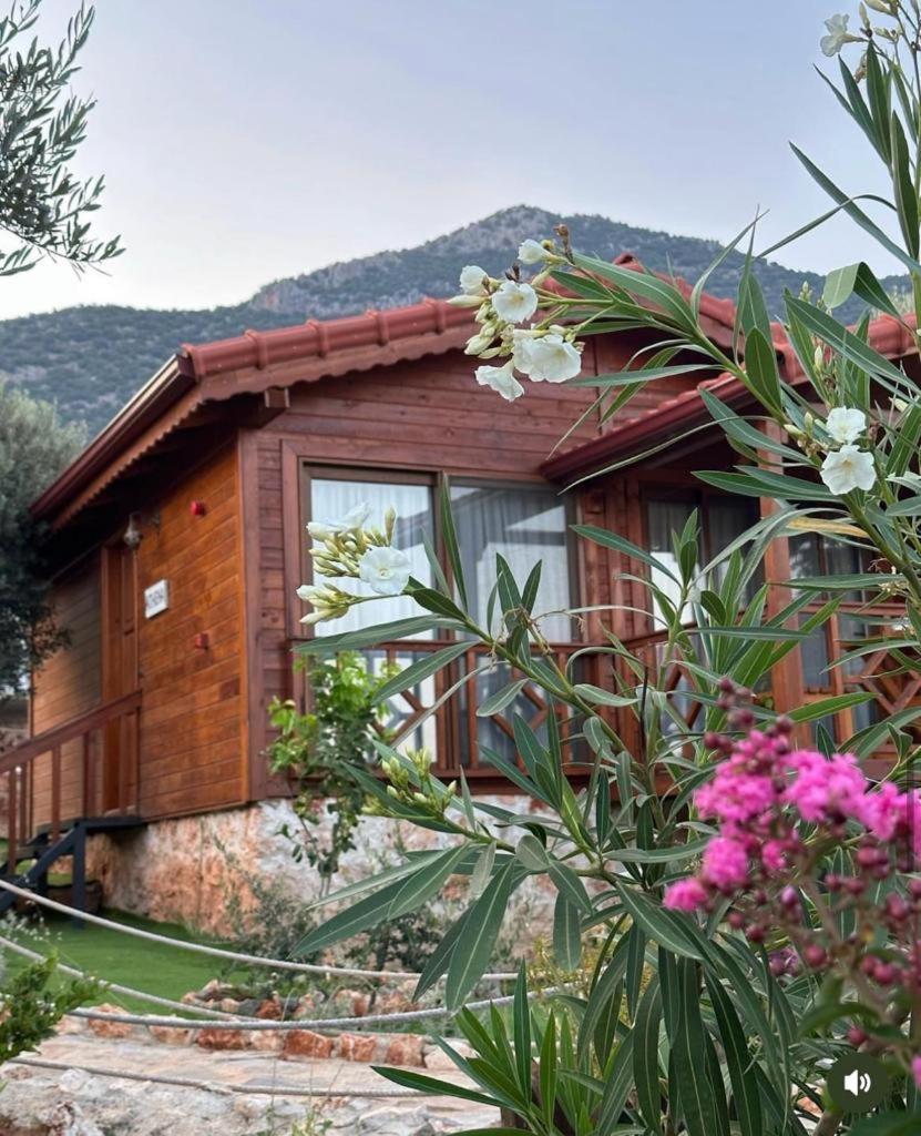 Doganin Ruhu Hotel & Bungalow Κας Εξωτερικό φωτογραφία