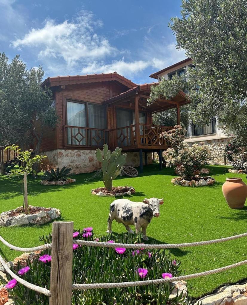 Doganin Ruhu Hotel & Bungalow Κας Εξωτερικό φωτογραφία