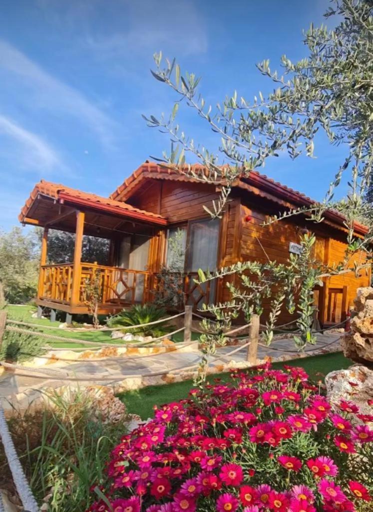 Doganin Ruhu Hotel & Bungalow Κας Εξωτερικό φωτογραφία