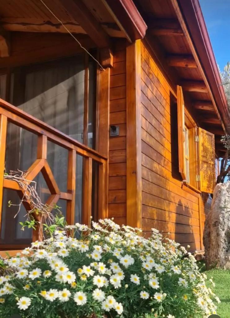 Doganin Ruhu Hotel & Bungalow Κας Εξωτερικό φωτογραφία